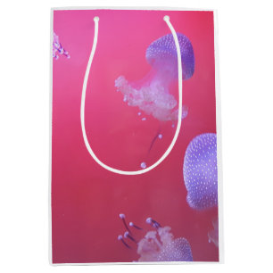 Quirky Jellyfish i Rosa Vatten