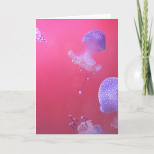 Quirky Jellyfish i Rosa Vatten Kort