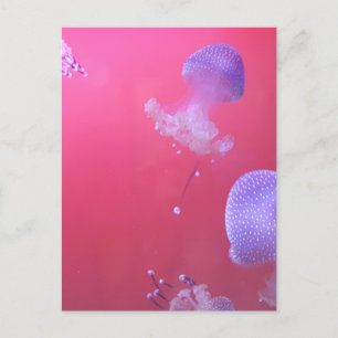 Quirky Jellyfish i Rosa Vatten Vykort
