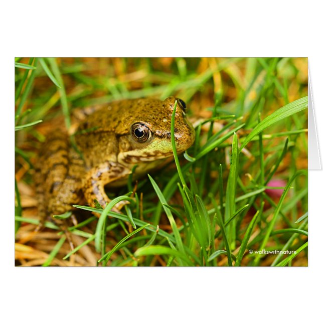 Quirky One-Sided Dialogue with a Small Grönt Frog Hälsningskort (Framsidan Horizontal)