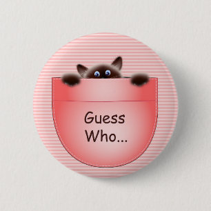 Quiz: Katt Knapp