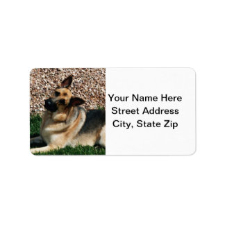 Quizzic German Shepherd Adressetikett
