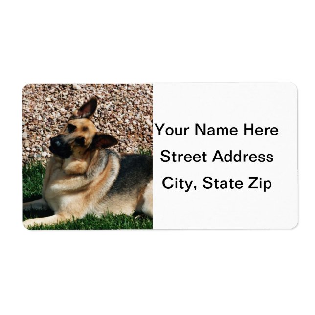 Quizzic German Shepherd Fraktsedel (Framsidan)