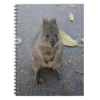 Quokka-anteckningsbok Anteckningsbok