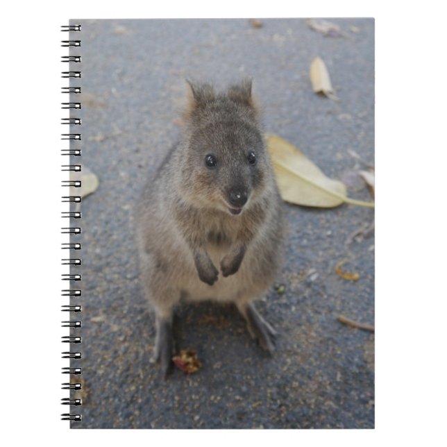 Quokka-anteckningsbok Anteckningsbok (Framsidan)