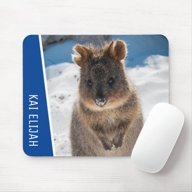 Quokka Cute Animal on the Beach Australia Blue Musmatta (Med mus)