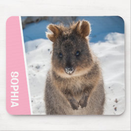 Quokka Cute Animal on the Beach Australia Pink Musmatta