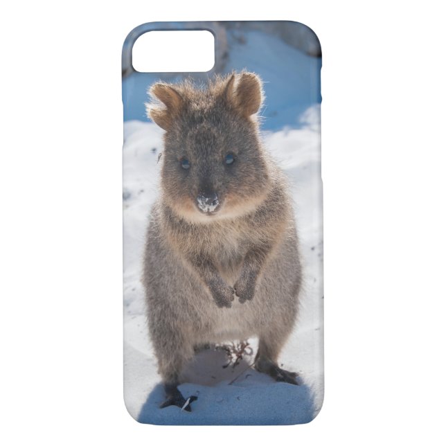 Quokka Cute Little Animal på Beach Australia Case-Mate iPhone Skal (Baksida)
