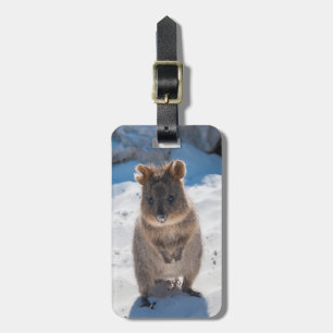 Quokka: Det mest lyckliga djur på planet! Bagagebricka