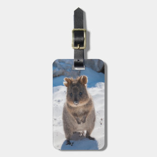 Quokka: Det mest lyckliga djur på planet! Bagagebricka