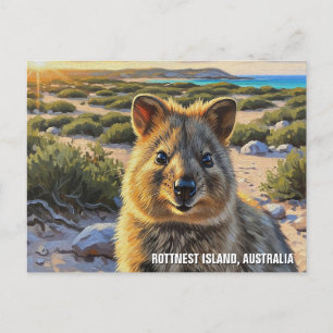 Quokka i Rottnest Island Australia Vykort