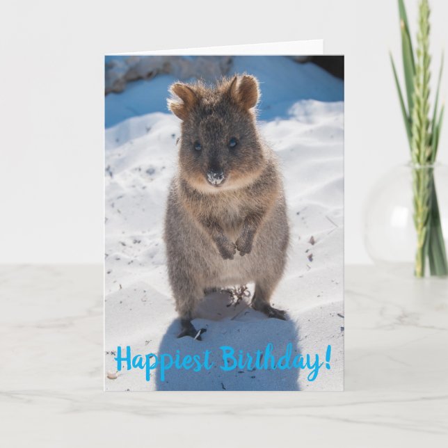 Quokka-kort för lycklig Happiest Birthday Kort (Framsida)