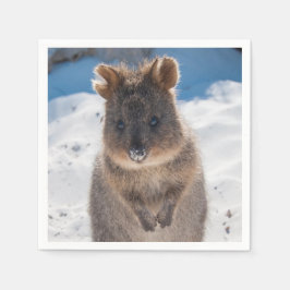 Quokka on the beach in Australia, cute photo Pappersservett