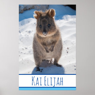 Quokka på Beach Australia Blue Boys Poster