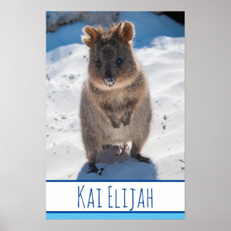 Quokka på Beach Australia Blue Boys Poster
