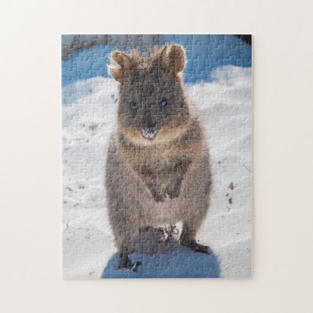 Quokka på stranden, 252 delarare pussel (Vertikal)