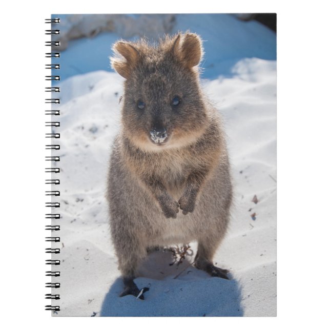 Quokka på stranden anteckningsbok (Framsidan)