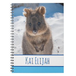 Quokka på stranden, Blue Boys Anteckningsbok