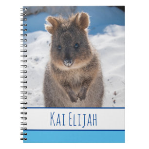 Quokka på stranden, Blue Boys Anteckningsbok