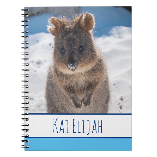 Quokka på stranden, Blue Boys Anteckningsbok (Framsidan)