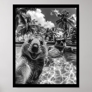 Quokka pool selfie semester roligt djur sommar  poster