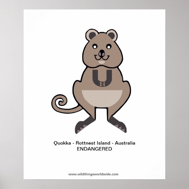 Quokka - poster (Framsidan)