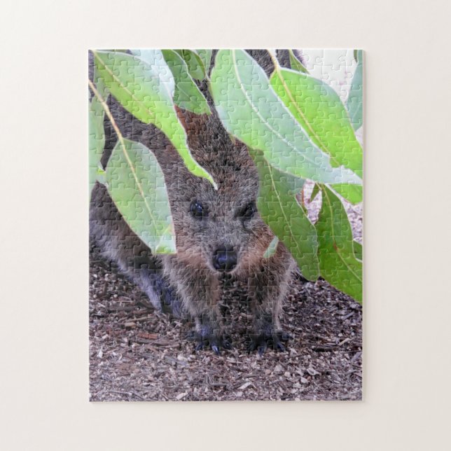Quokka Puzzle Pussel (Vertikal)