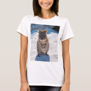 Quokka, Rottnest Island, Australien T Shirt
