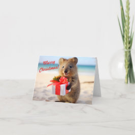 Quokka Selfie vid Beach - jul Kort