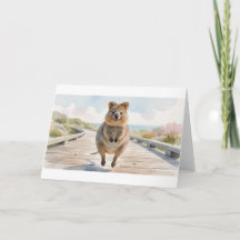 Quokka som studsar längs med strandpromenaden Grat