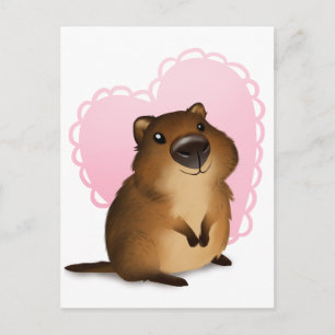 Quokka Vykort