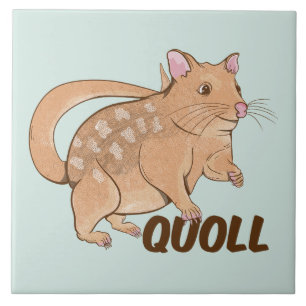 Quoll Australian Marsupial Kakelplatta