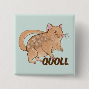 Quoll Australian Marsupial Knapp