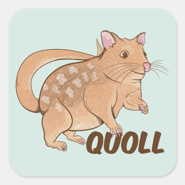 Quoll Fyrkantigt Klistermärke (Framsida)