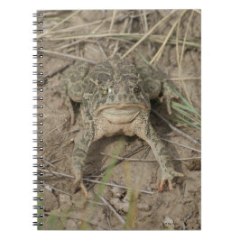R10 Prairie Toad Anteckningsbok