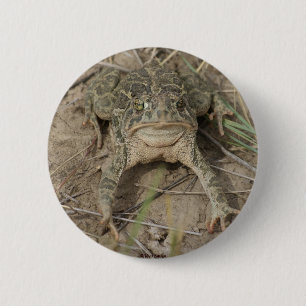 R10 Prairie Toad Knapp