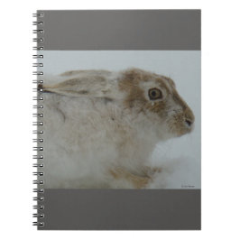 R11 Snowshoe Hare Head Shot Anteckningsbok