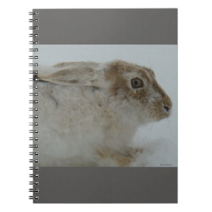 R11 Snowshoe Hare Head Shot Anteckningsbok