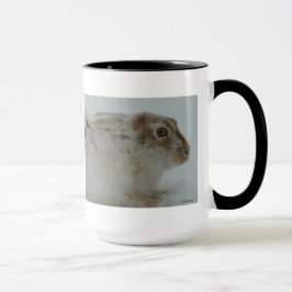 R11 Snowshoe Hare Head Shot Mugg