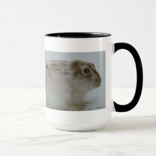 R11 Snowshoe Hare Head Shot Mugg