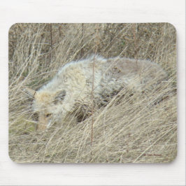 R13 Coyote i högt gräs Musmatta