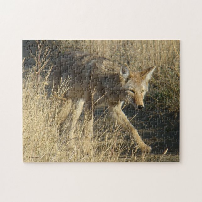 R14 Coyote Går Pussel (Horisontell)
