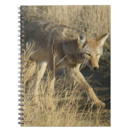 R14 Coyote Walking Anteckningsbok