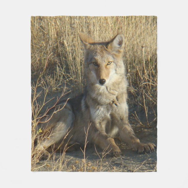 R15 Coyote Liggande Fleecefilt (Framsidan)