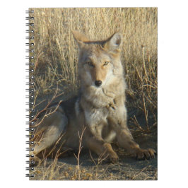R15 Coyote Loutning Anteckningsbok