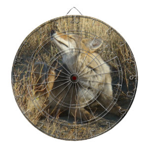 R17 Coyote Krafsar Darttavla