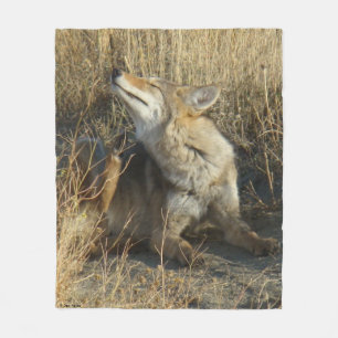 R17 Coyote Krafsar Fleecefilt