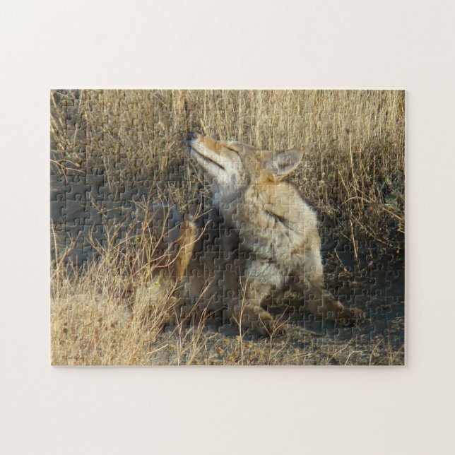 R17 Coyote Reper Pussel (Horisontell)