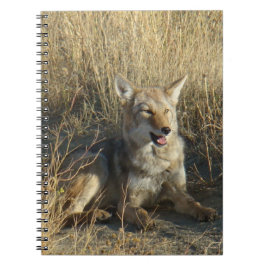 R18 Coyote Lay Anteckningsbok
