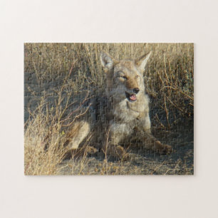 R18 Coyote Liggande Pussel